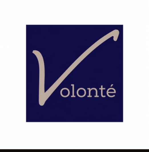 Volonte Group Ltd logo